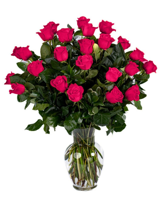 Double the Dozens 12 = 24 Hot Pink Roses