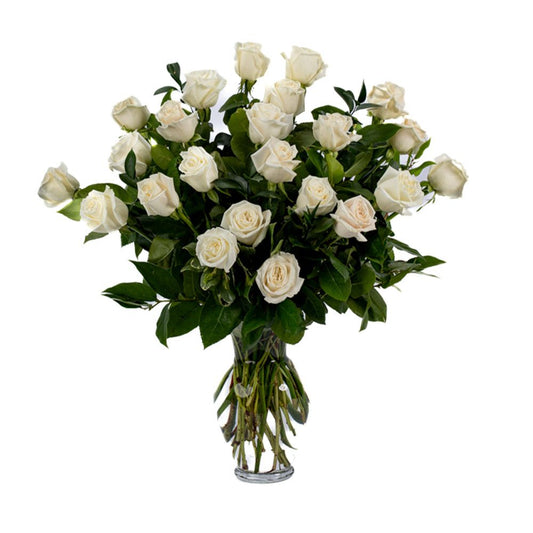 Double the Dozens 12 = 24 White Roses