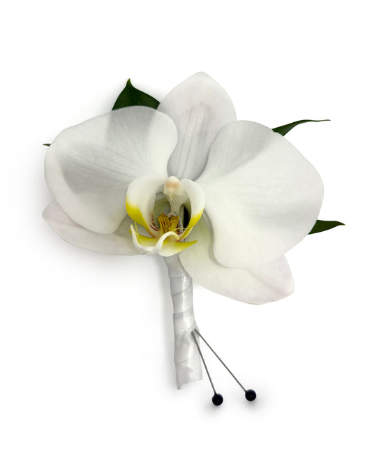 White Phal Orchid Boutonniere